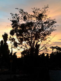 Silhouette trees against sky at sunset