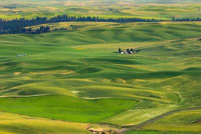 High angle view of golf course