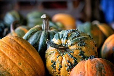 Close-up of pumpkin for sale at market