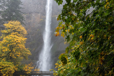 Scenic view of waterfall in forest