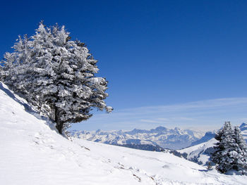 Scenic view of snowcapped mountains against blue sky