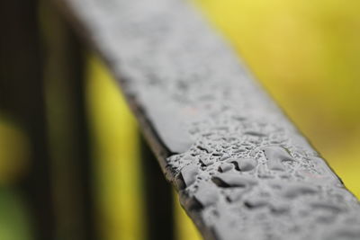 Close-up of wet yellow railing