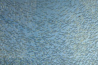 Full frame shot of abstract pattern on glass