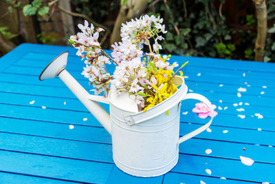 High angle view of flower pot on table by swimming pool