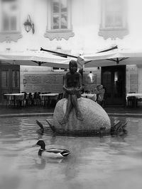 Rear view of couple sitting on water