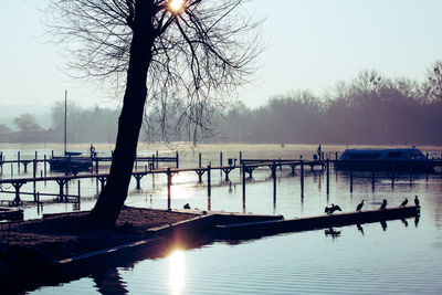 Scenic view of lake against clear sky