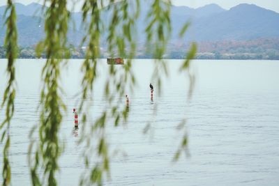 Scenic view of lake