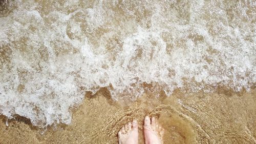 Low section of person on shore at beach