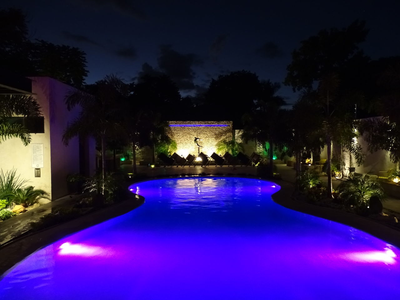 illuminated, tree, plant, night, water, architecture, nature, pool, swimming pool, real people, blue, lifestyles, built structure, people, silhouette, lighting equipment, reflection, leisure activity, men, purple