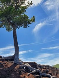 Scenic view of rocks against sky