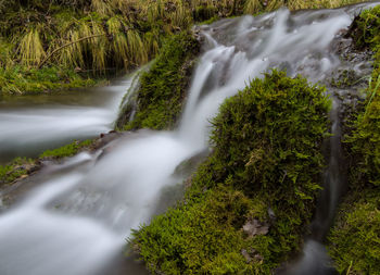 View of waterfall in forest