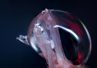 Close-up of water against black background