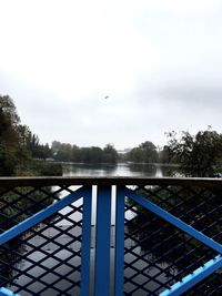 Bird on railing against sky