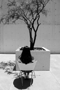 Rear view of woman sitting against tree on chair