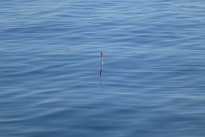 High angle view of kite flying over sea