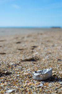 Surface level of seashell on beach