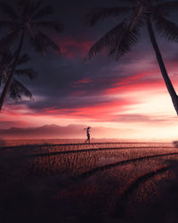 Silhouette person on field against sky during sunset