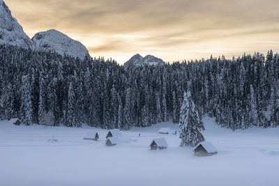 Scenic view of snowcapped field against sky during winter