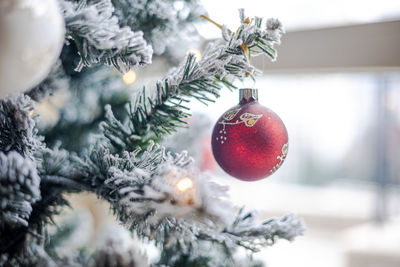 Close-up of christmas tree