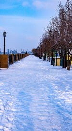 Snow covered bare trees on field against sky