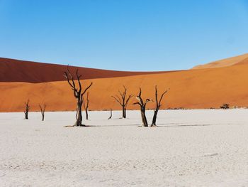 Scenic view of desert against clear blue sky