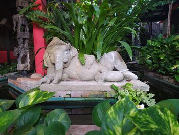 Statue against plants in garden