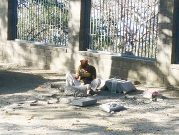 Full length of man sitting on tree
