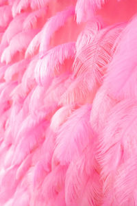 A bunch of pink feathers
