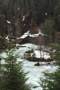 Scenic view of river flowing in forest during winter