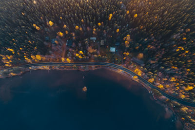 High angle view of road amidst trees in city