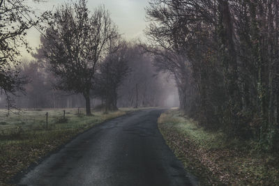 Empty road amidst trees during foggy weather