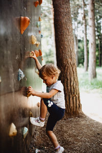 Children try climbing walls in the adventure park inside the forest. physical activity.