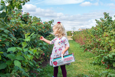 Full length of a girl holding apple against plants