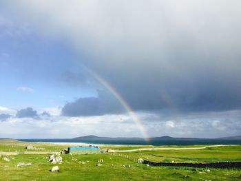 Scenic view of field against rainbow in sky