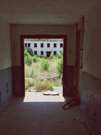 Entrance of abandoned house