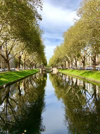 Reflection of trees in lake against sky
