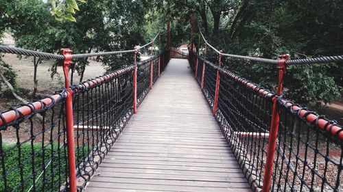 View of footbridge in forest