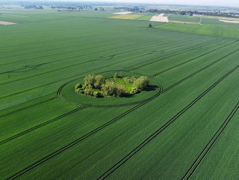 High angle view of agricultural field