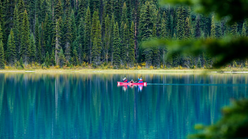 Scenic view of lake in forest