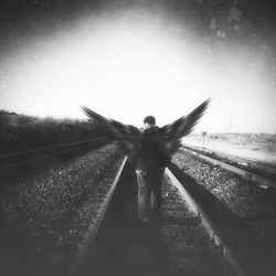 View of tree against sky