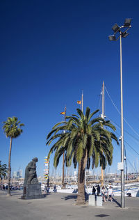 Palm trees on beach against clear blue sky