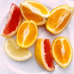 High angle view of orange fruits in plate