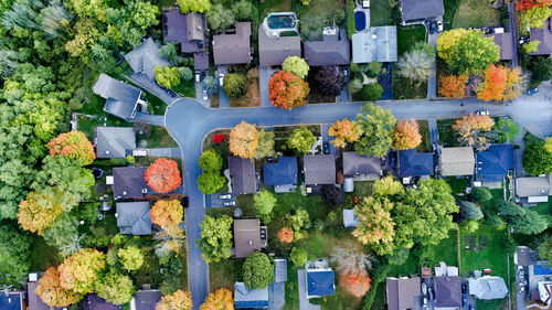 Aerial view of road amidst town