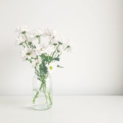 Close-up of vase against white background