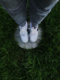 Low section of person standing on field