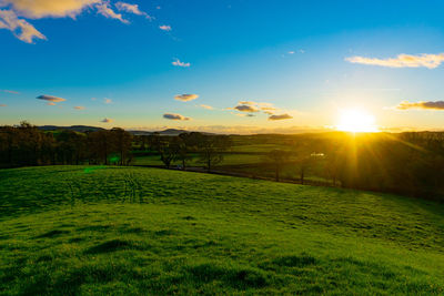 Scenic view of field against sky during sunset