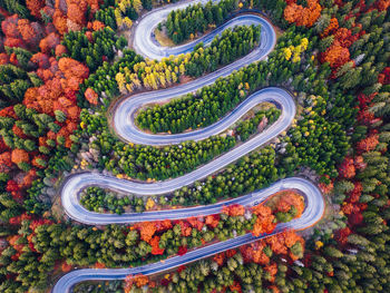 High angle view of plants by road