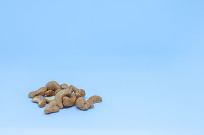 High angle view of bread against blue background