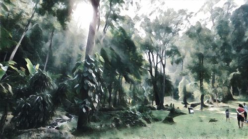 Panoramic shot of trees against plants