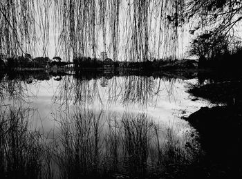 Reflection of trees in lake against sky